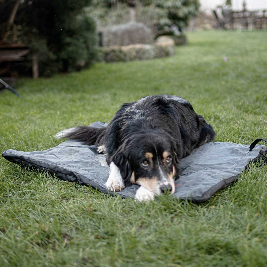 Heizdecke für Mensch, Pferd oder Hund Outdoor, € 100,- (3852