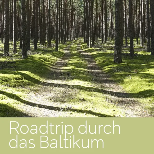 Roadtrip durch das Baltikum