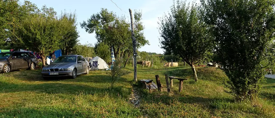 Campingplatz Ananas Rumänien Wohnmobil Van