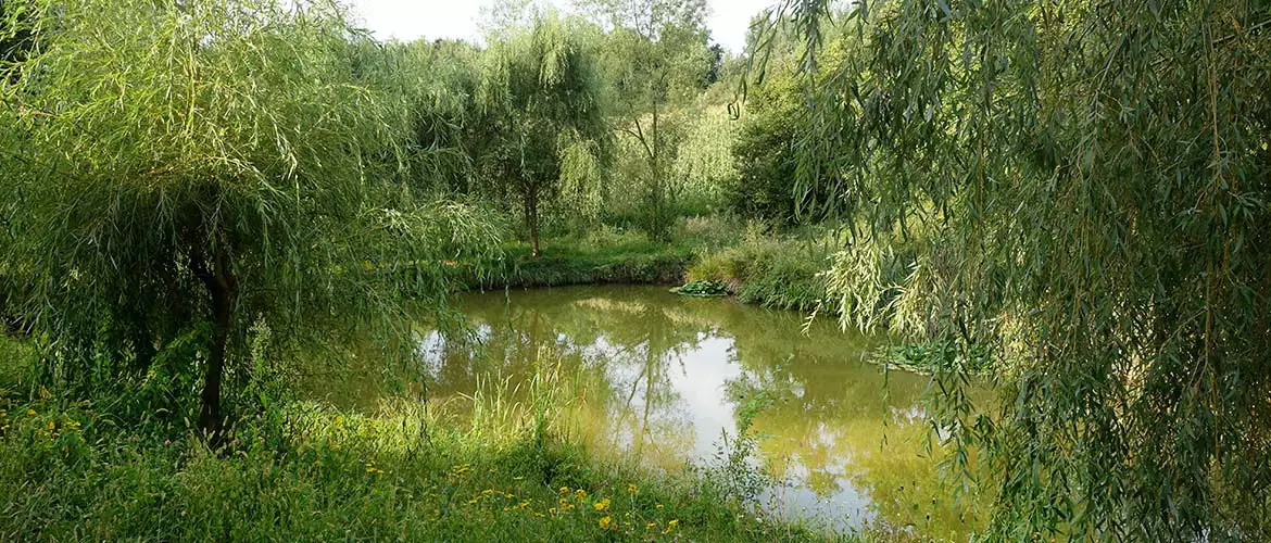 Campingplatz Arges Rumänien Camping