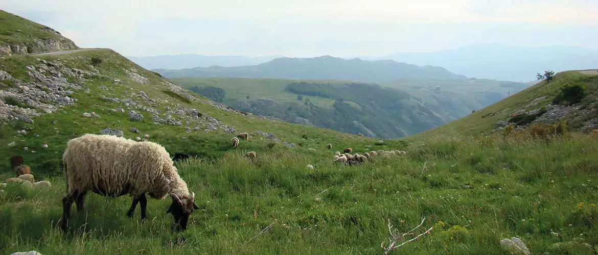 Durmitor Nationalpark Montenegro Camping