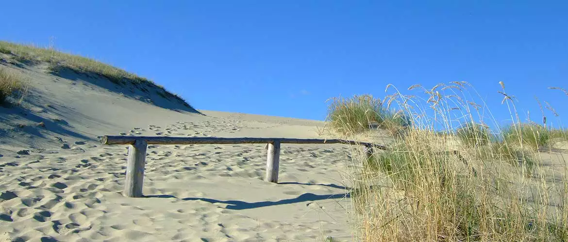 Campingplatz Kurische Nehrung Litauen