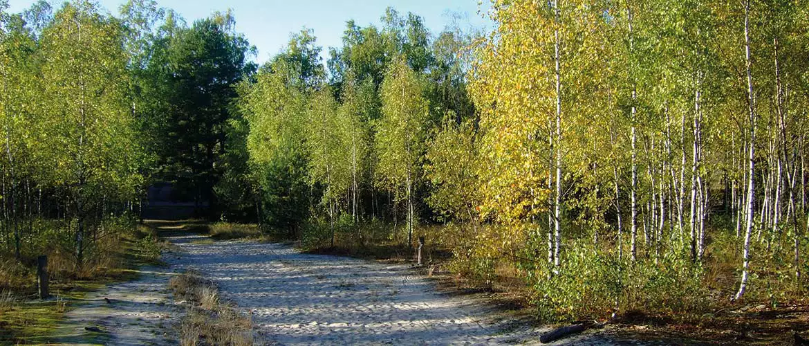 Campingplatz Kurische Nehrung Litauen