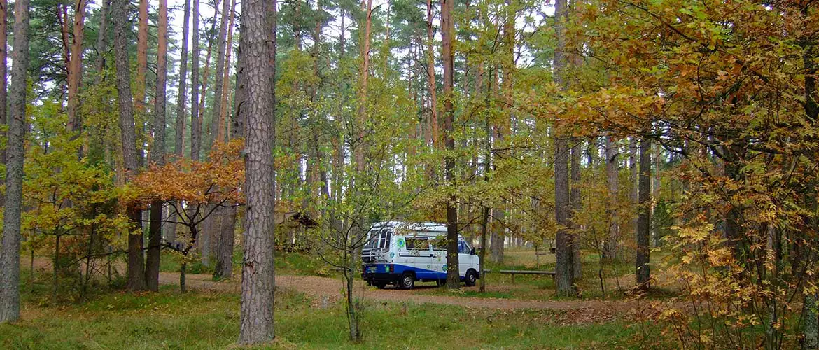 Campingplatz Stellplatz Peipussee Estland