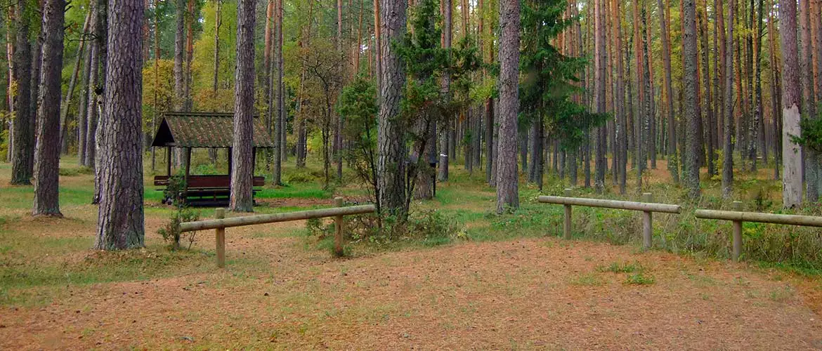 Campingplatz Stellplatz Peipussee Estland