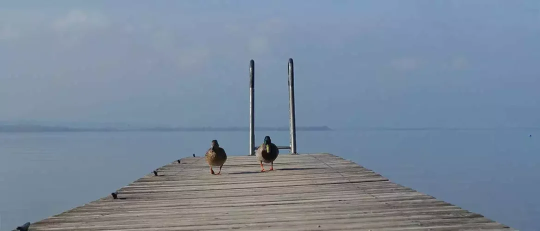 Campingplatz Chiemsee Bayern Van Wohnmobil