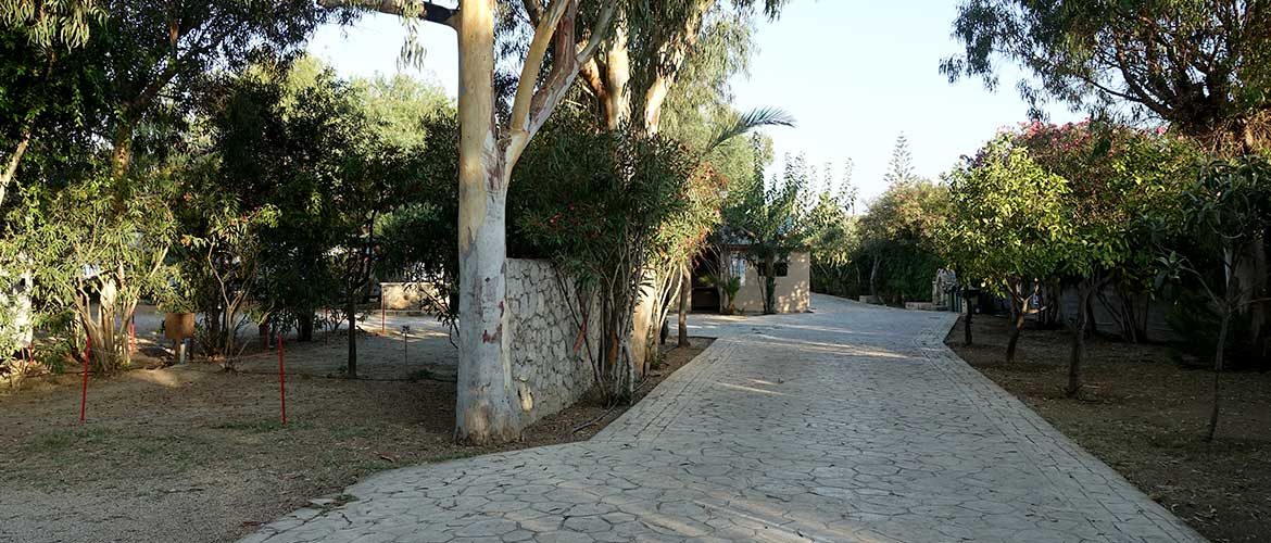 Campingplatz Navarino Griechenland Peloponnes