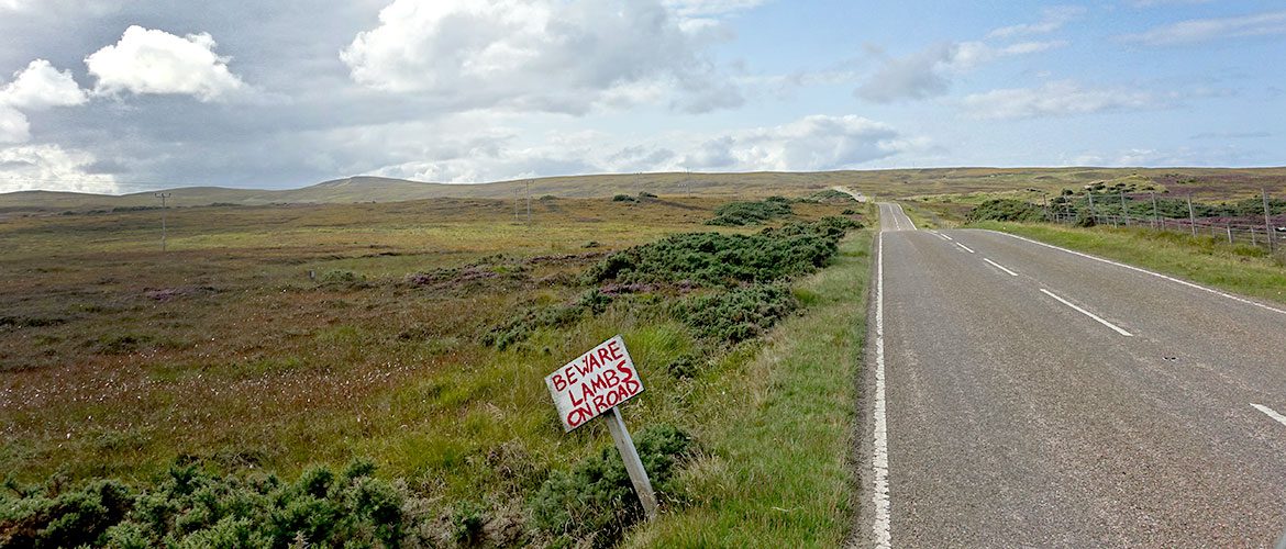 Campingplatz Roadtrip NC500 Schottland