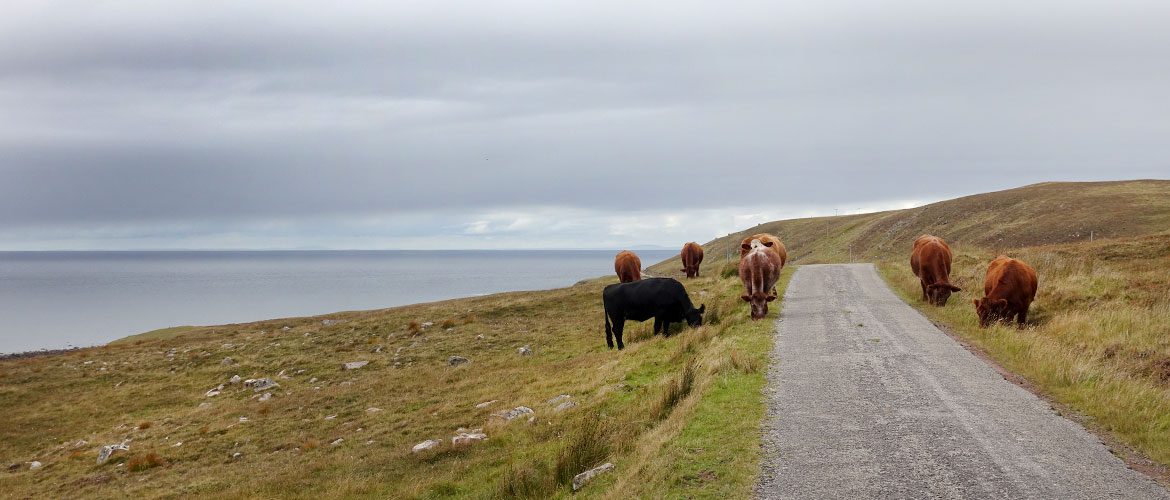 Campingplatz Roadtrip NC500 Schottland