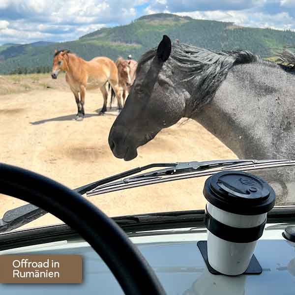 Silwy to-go Becher aus Porzellan magnetisch für Roadtrip und Vanlife