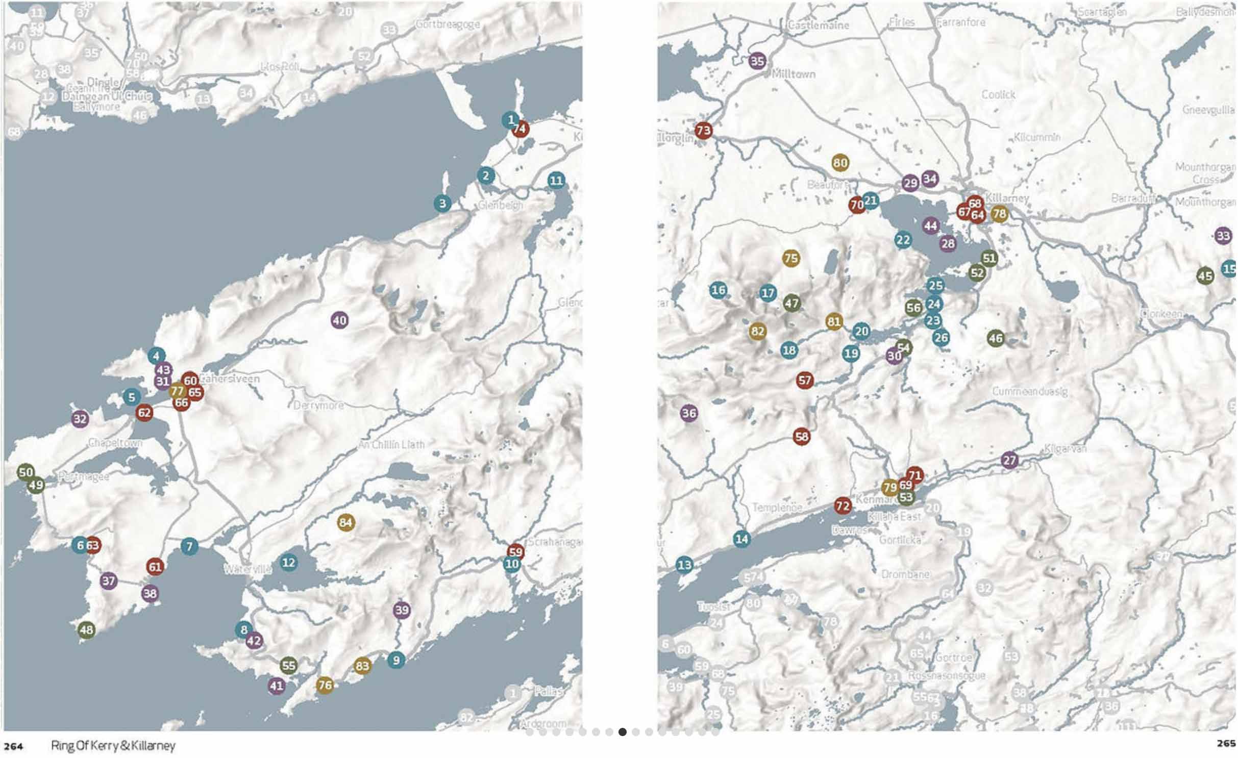 Reiseführer Buch Wild Guide West Irland